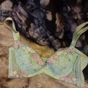 Pastel embroidered bra